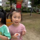 ⭐️ 숲체험: 신나는 밧줄놀이 ⭐️ 이미지