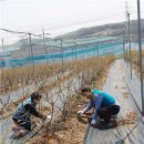 덕우농장 이미지