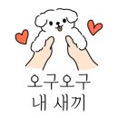 애견미용실 또이쁜댕 네이버블로그
