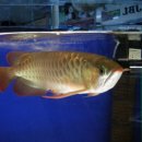 한서아쿠아 이미지