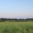 판포감동스테이 이미지