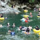 울산 배내골 계곡 과 철구소 계곡 울산근교 가볼만한곳 이미지