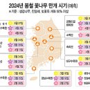 2024년 봄꽃 축제 어디로 이미지