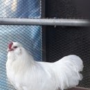 (주)레이스킨 이미지