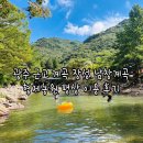 남창로 | 광주 근교 계곡 장성 남창계곡 형제농원 평상 이용 후기