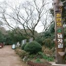 비자림스테이