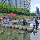 도심의 쉼터 이미지