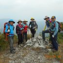 양산신-2017 이미지