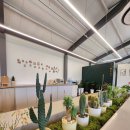 Cafe Forest (카페 포레스트) | 홍천 감성 가득한 자연 속 카페, 카페 포레스트(CAFE FOREST) 방문 후기