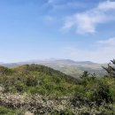 한라산을바라보는쉼터 이미지