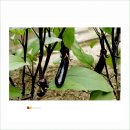 색동공원 이미지