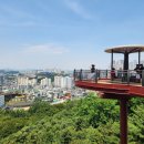 수봉공원 (문화회관방향) 네이버블로그