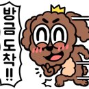 다움동물병원