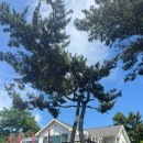 상아별장 이미지