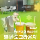 도그픽 | [서울 근교 경기 남양주 애견카페] 도그라운지 | 주인장이 더 신난 후기(내돈내산)
