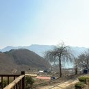 충주 힐링되는 숙소 페나테스 풀빌라 후기