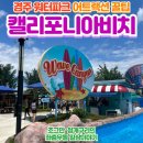 캘리포니아 | 경주월드 캘리포니아비치, 어트랙션 후기!