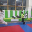 용인대 강한태권도장 이미지