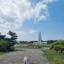 DNG HALL(디앤지 홀) | 22.05.06[28일] 제주항일기념관, 홀리브로스터리카페,(애견동반)/ 안거리밖거리, 유동커피, 서귀포천문...