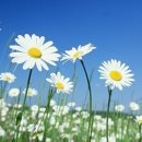 독일명품보청기 이미지