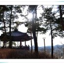 낙산루