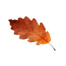 피티공간 이미지