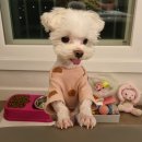 다모아탑공인중개사사무소 이미지