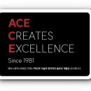 에이스엔지니어링(주)