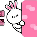 펫리셔스(petlicious) 이미지