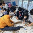 드림스타트 이미지