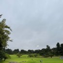 태광유리 | 태광cc 비온날도 괜찮을까? 남북코스 솔직후기