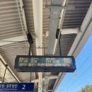 연필뮤지엄 | [동해] 동해 추천 전시회‘연필 뮤지엄‘ 관람 후기