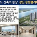 강진터미널마트 이미지