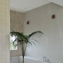 굿나잇 판포 이미지