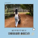 멍숲 | 울산 아이랑 가기 좋은 대왕암공원 출렁다리 유모차
