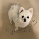 벨라약국 이미지