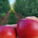 화촌면 산초울로 이미지