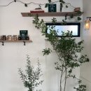 컵오브조이