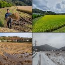 사라골농장 이미지