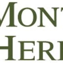 몽뜨(Mont) 이미지