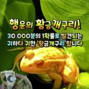 인생 지금을 즐겨라 가장 소중한 시간은 이미지