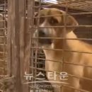 승인농장 이미지