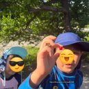 통큰 가평점 | 가평 화악계곡 아이와 계곡 추천 다슬기 잡고 물고기 잡기 좋은 무료 계곡 후기
