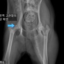 진천동물병원 이미지