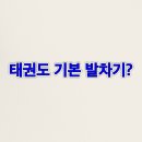 용인대 강 태권도 이미지