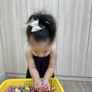 공립알록달록 이미지