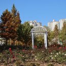 고인돌공원 Daum카페