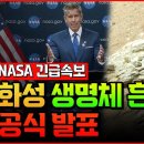 [NASA 긴급 공식발표!] 화성에서 생명체 흔적 발견되었다! 그 증거와 근거는? 그리고 우리는 앞으로 무엇이 더 필요할까?![항성의 이미지
