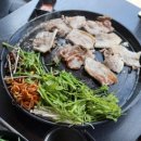 세종돼지 이미지