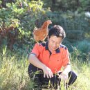 영농조합법인 킹스파머스 | [2017년 대한민국혁신한국인&amp;파워브랜드] 영농조합법인 킹스파머스 여기혁 대표 <혁신리더, 동물복지>